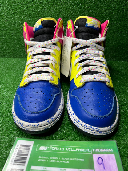 Nike Sb Ron Cameron Sample Set - Size 9