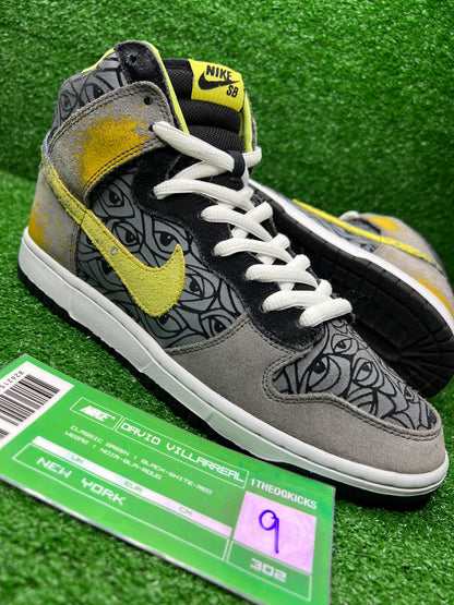 Nike Sb Ron Cameron Sample Set - Size 9