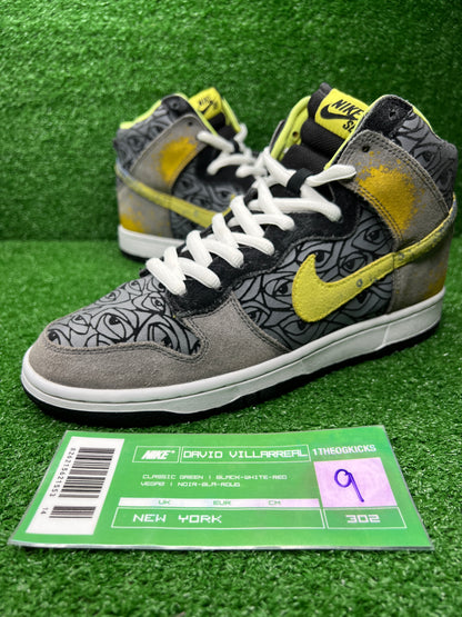 Nike Sb Ron Cameron Sample Set - Size 9