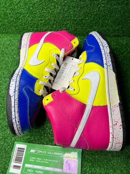 Nike Sb Ron Cameron Sample Set - Size 9