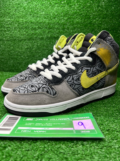 Nike Sb Ron Cameron Sample Set - Size 9