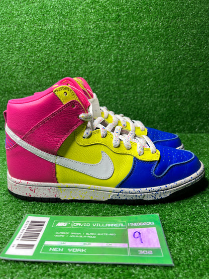 Nike Sb Ron Cameron Sample Set - Size 9