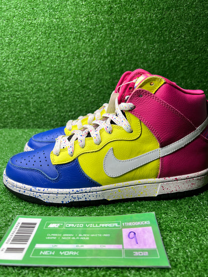 Nike Sb Ron Cameron Sample Set - Size 9